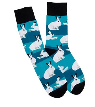 Arctic Hares