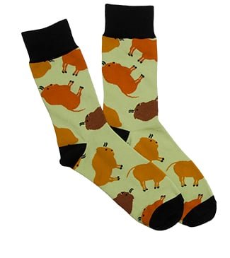Bison