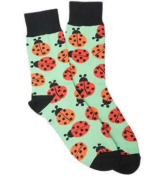 Ladybugs