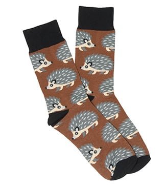 Hedgehogs