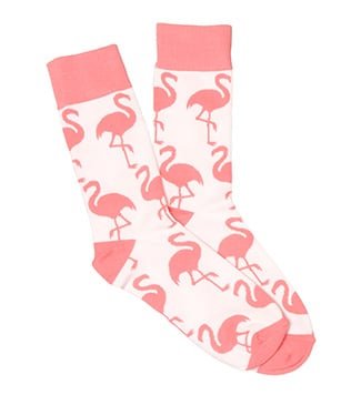 Flamingos