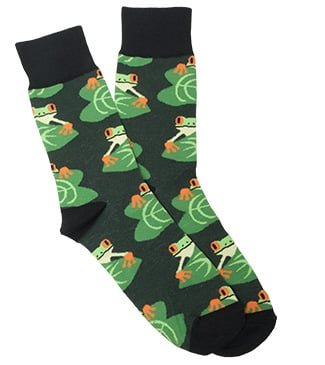 Frogs and Lily Pads