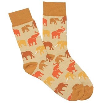 African Elephants